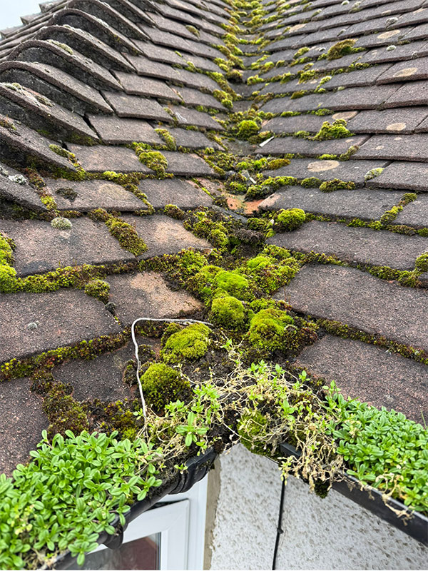 London Property Needs a Gutter Clean