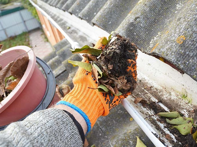 professional gutter cleaner London