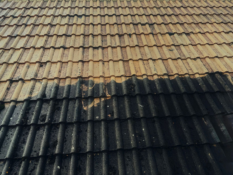 Steam Clean Roof for Moss Removal
