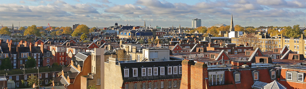 West London Gutter Cleaning