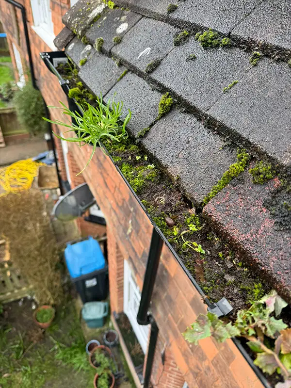 gutter cleaning before