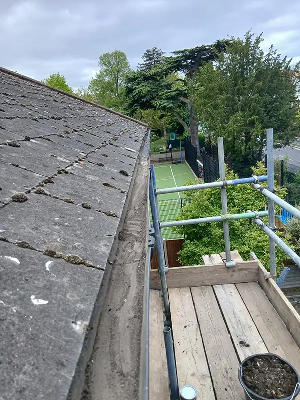 gutter cleaner After