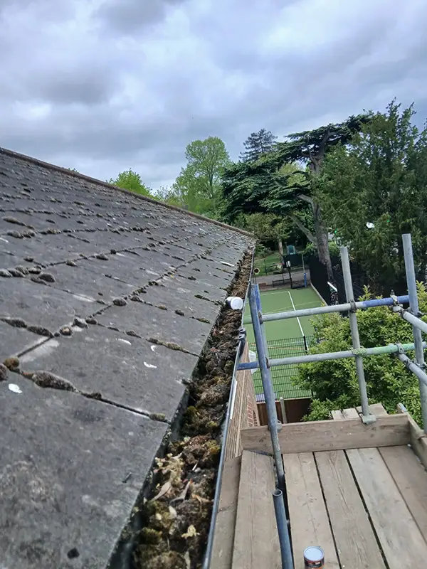 gutter cleaner before